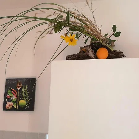 Apartment Cerco